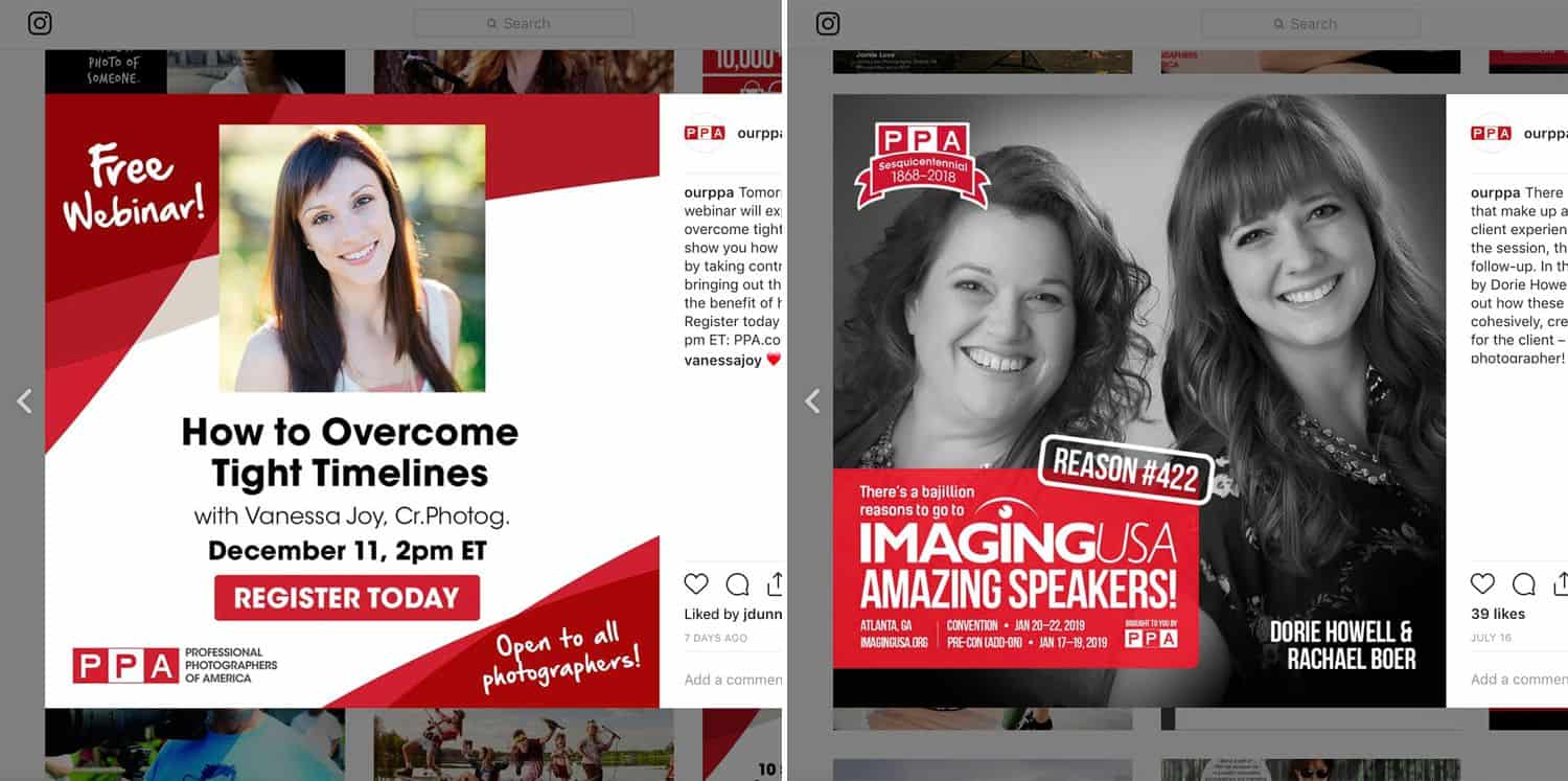 The Best 19 Instagram Feeds for Your Photography Business