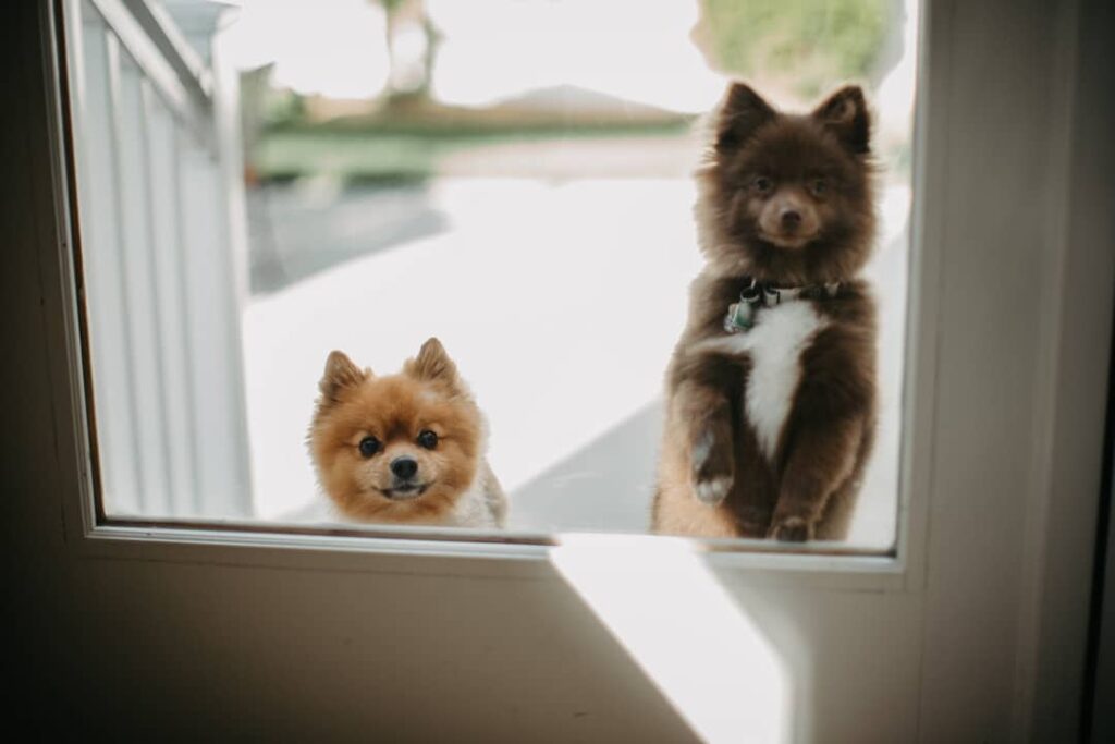 DiGregorio__STUDIO 27_CP61419 CM0041 PLD06798_low