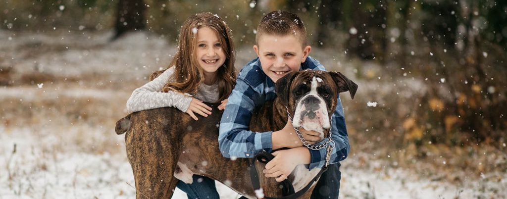 H2 christmas mini sessions ideas nicole nero 1024x402