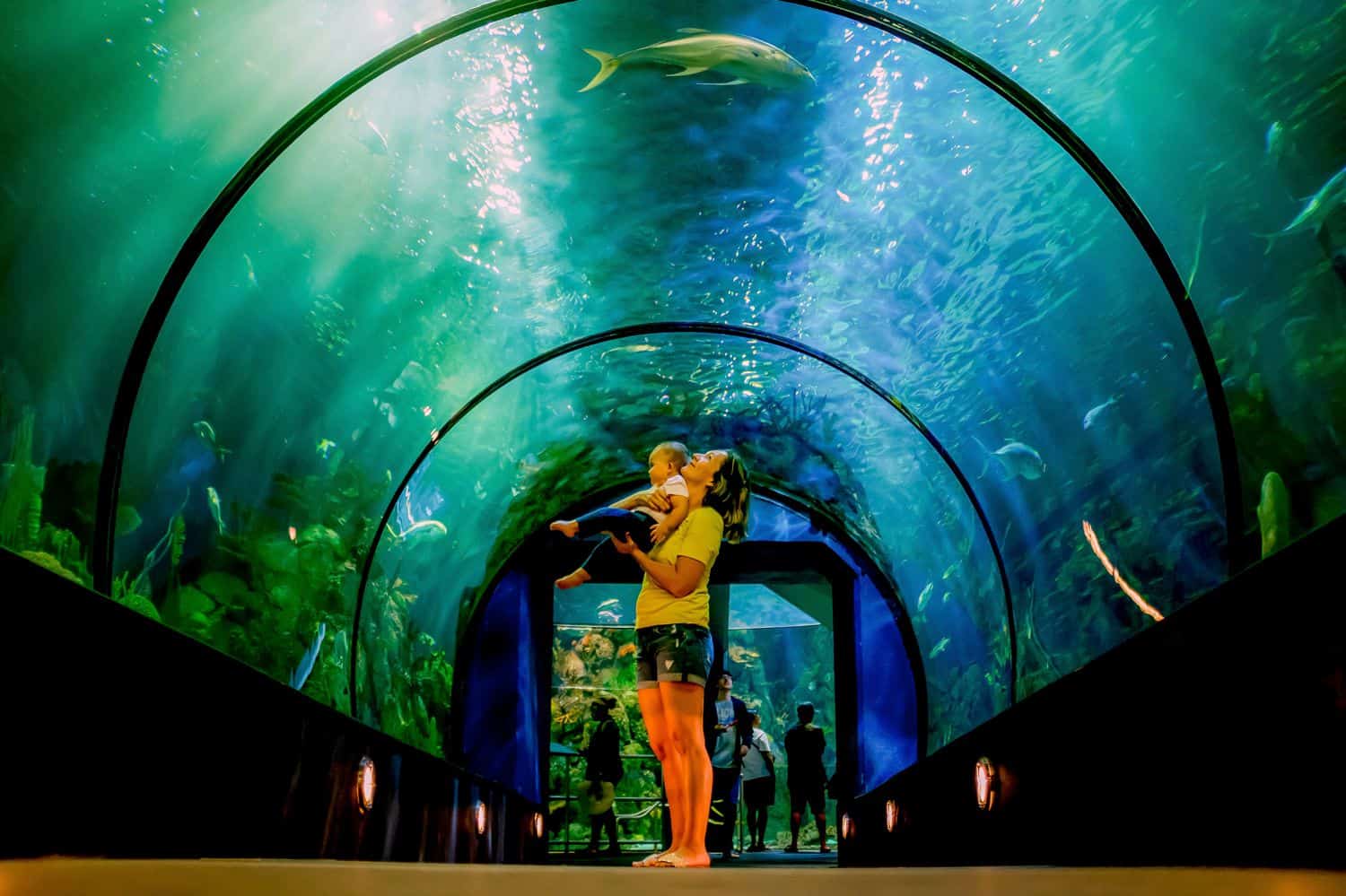 A mother with her baby visiting an aquarium
