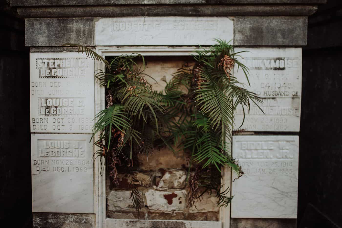 6 Real Passion Projects That Will Make You Pick Up Your Camera