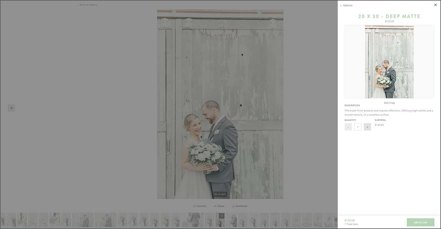 Shelby's Schmidt's ShootProof galleries include detailed descriptions of her many professional photo products