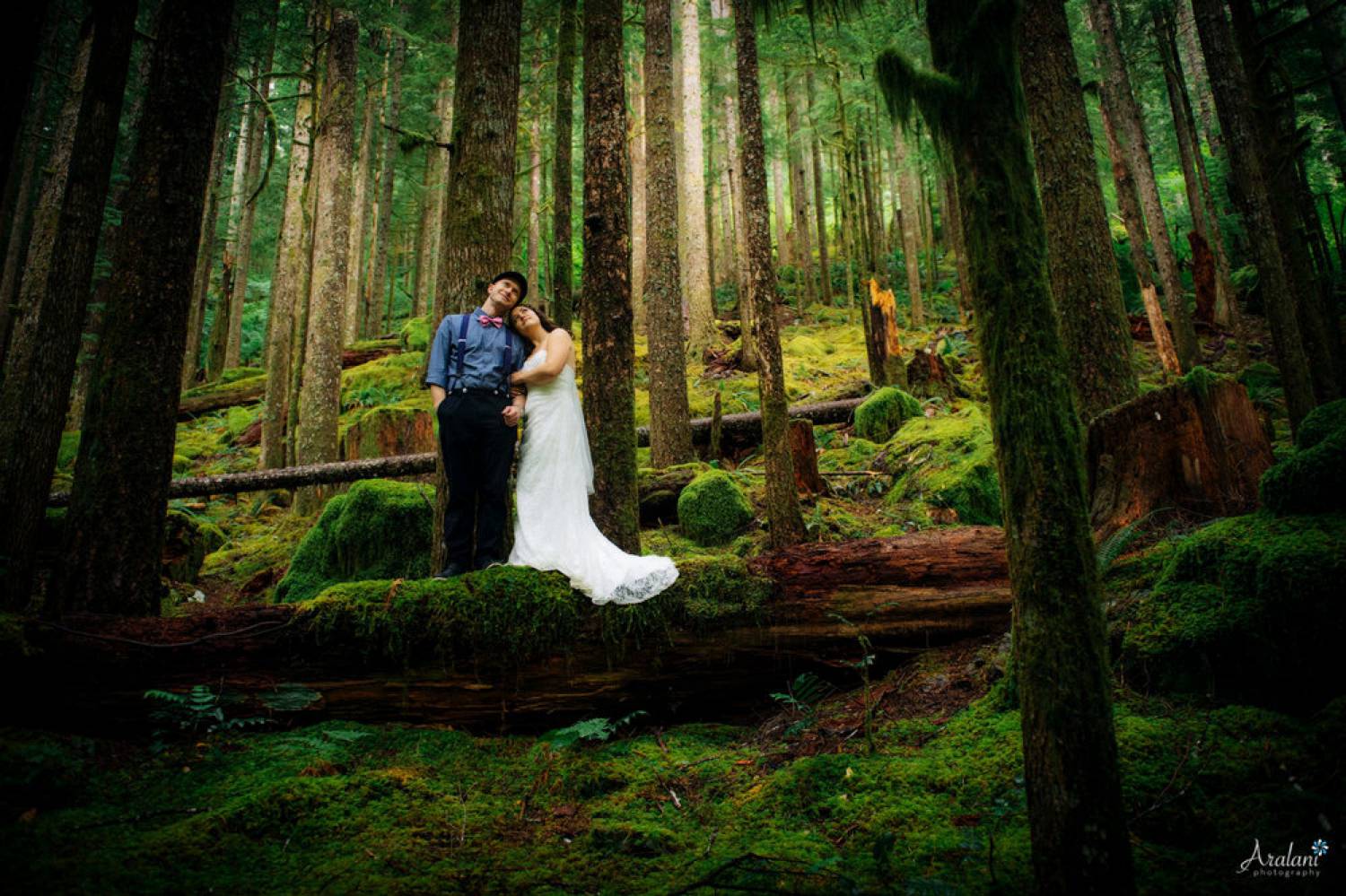 Ara Roselani's portrait of a bride and groom standing on a mossy, fallen log in the middle of a pacific northwest forest.