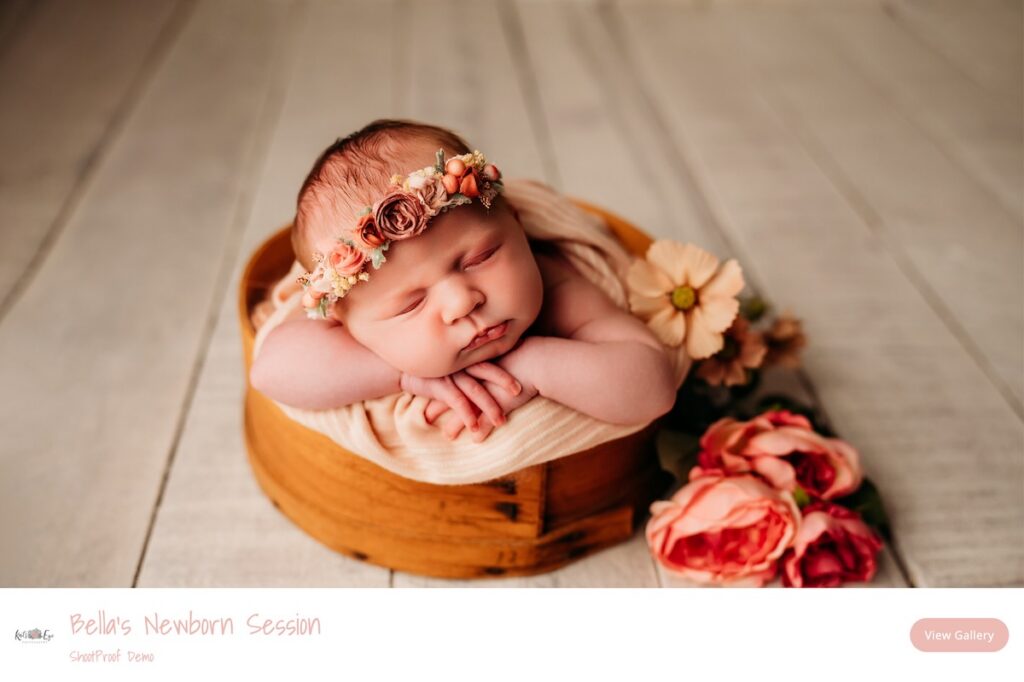 bellas newborn session