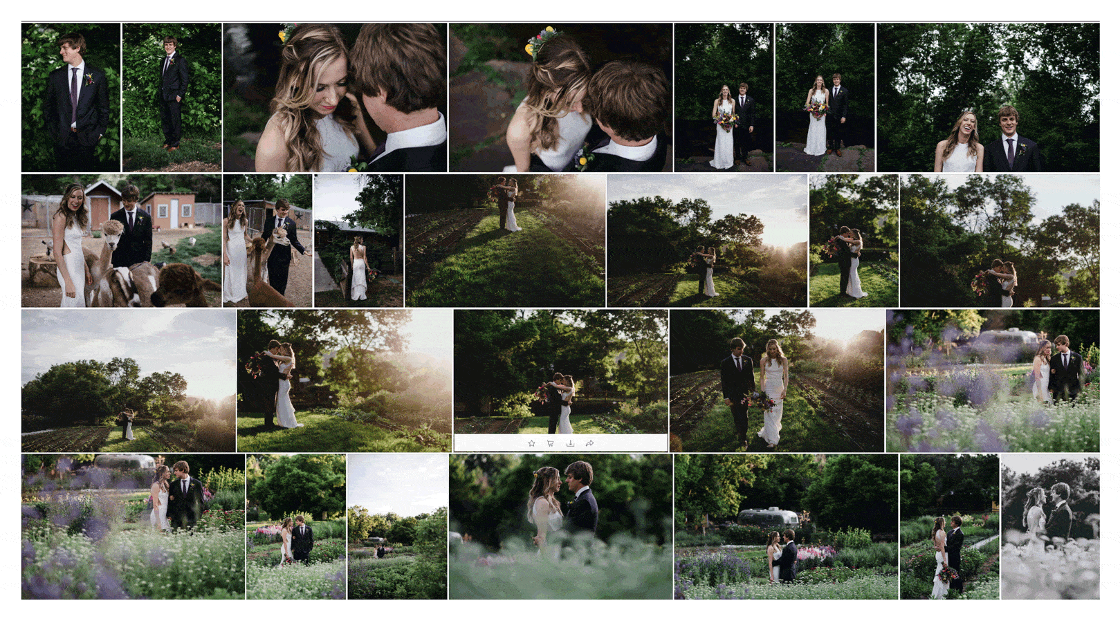 ShootProof Custom Online Galleries - Sizing and Spacing