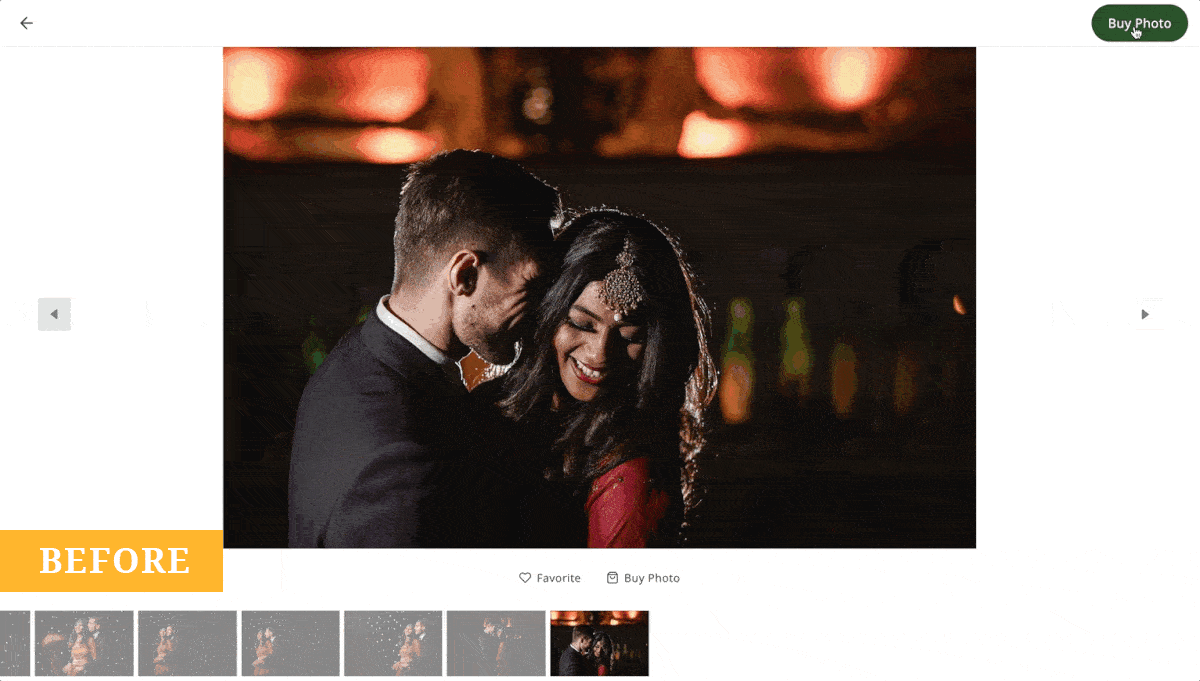 Before view of ShootProof shopping panel