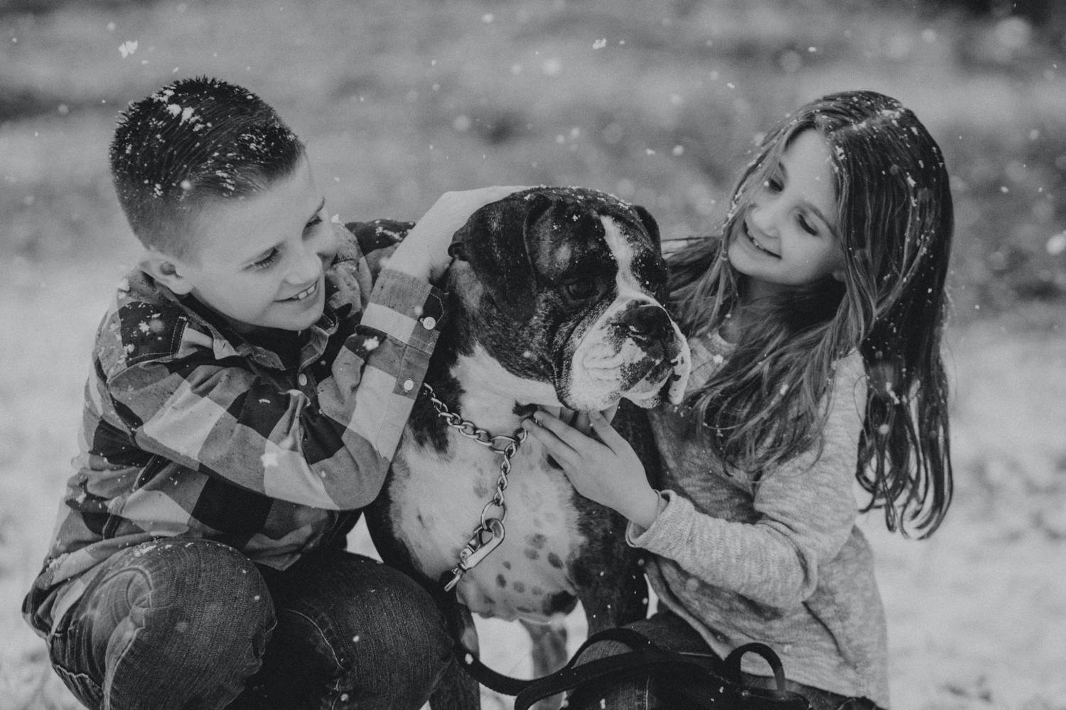 In this black and white photo by Nicole Nero Studio, a young boy and young girl kneel in falling snow with their Boxer dog between them. Christmas Mini Session: Ideas Families will ADORE!