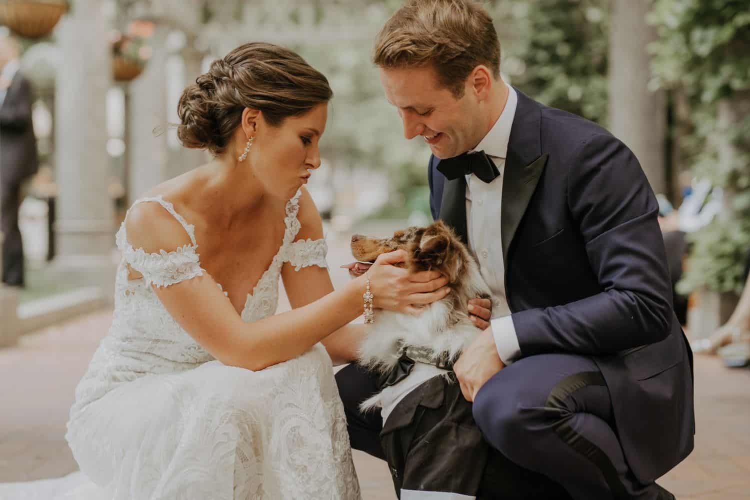 See how dog photography can enhance your portrait and wedding images. Your clients will love adding their furry family member to their next session!