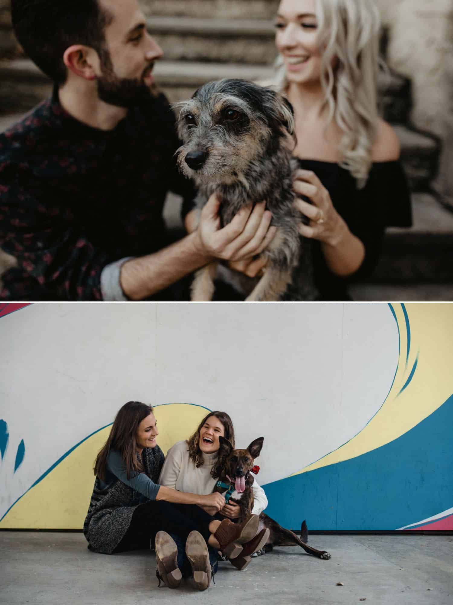 Include precious pups and cute kitties in your next engagement photo session