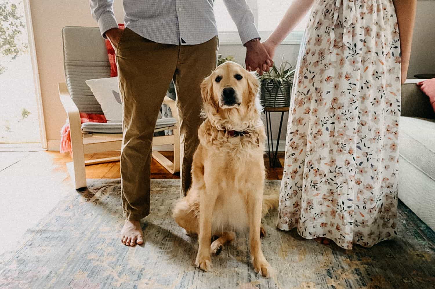 FaceTime photo of a couple holding hands over their golden retriever dog