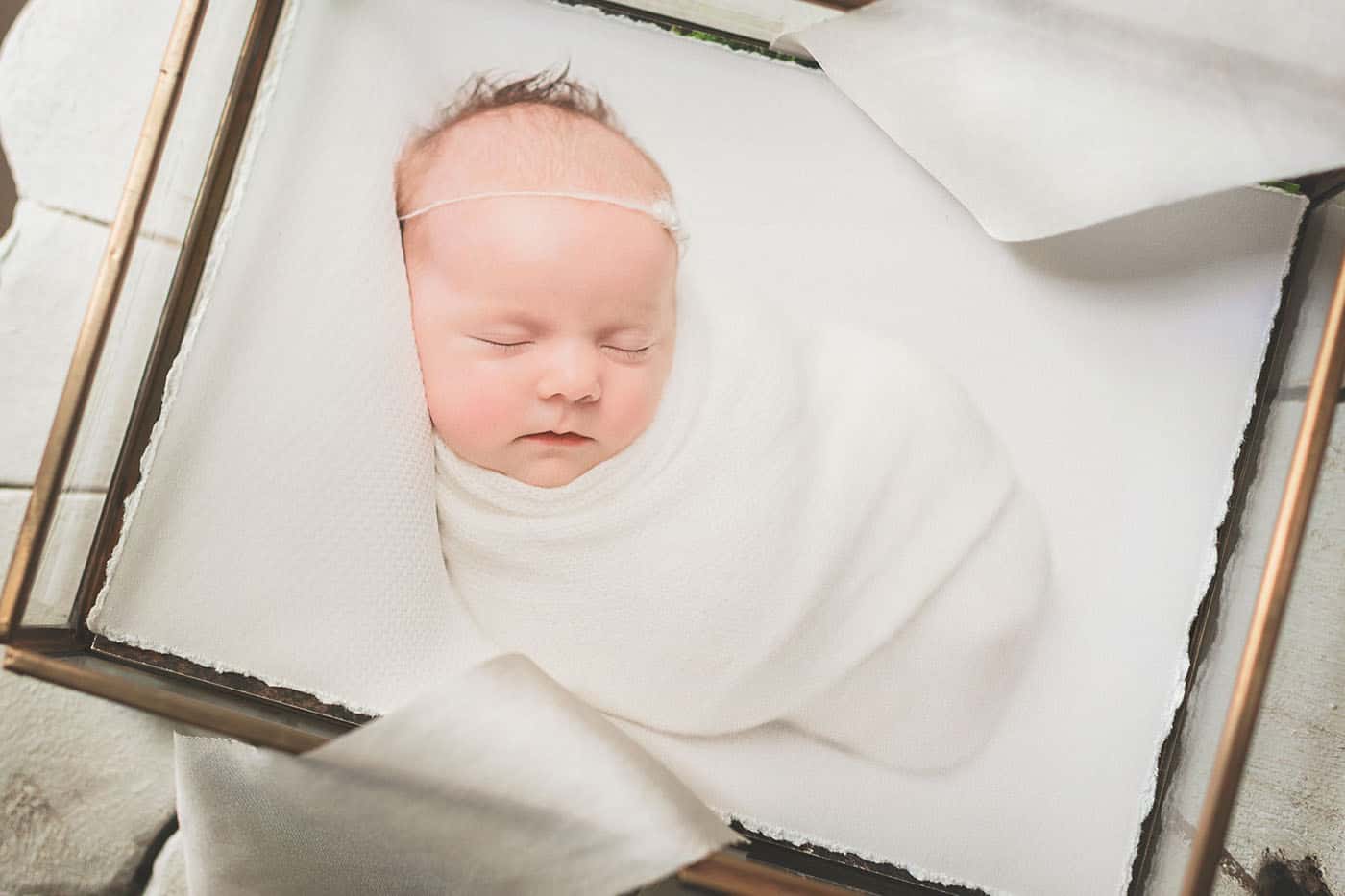 The Greatest Photographers You'll Ever Meet Are Doing It For Free