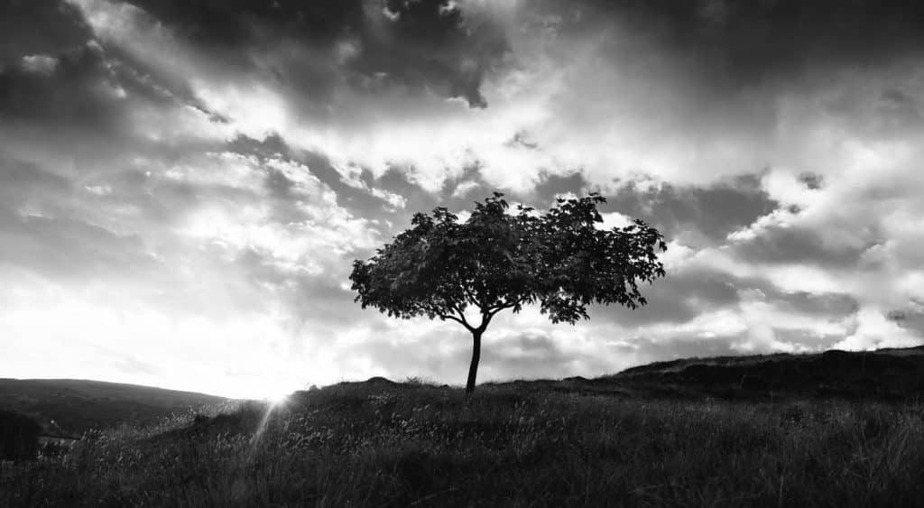 h2 sell fine art photography online joshua wyborn 1 1024x563