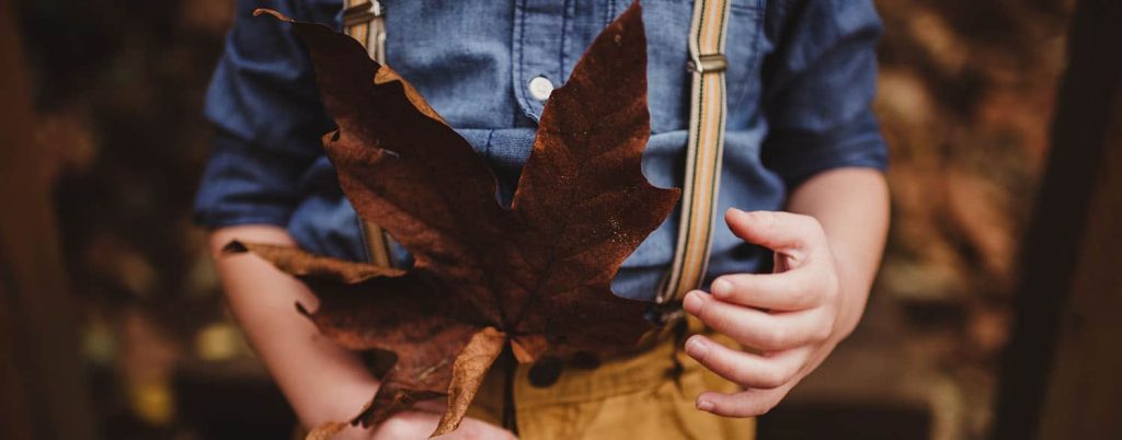 header blog twig olive sell photos online