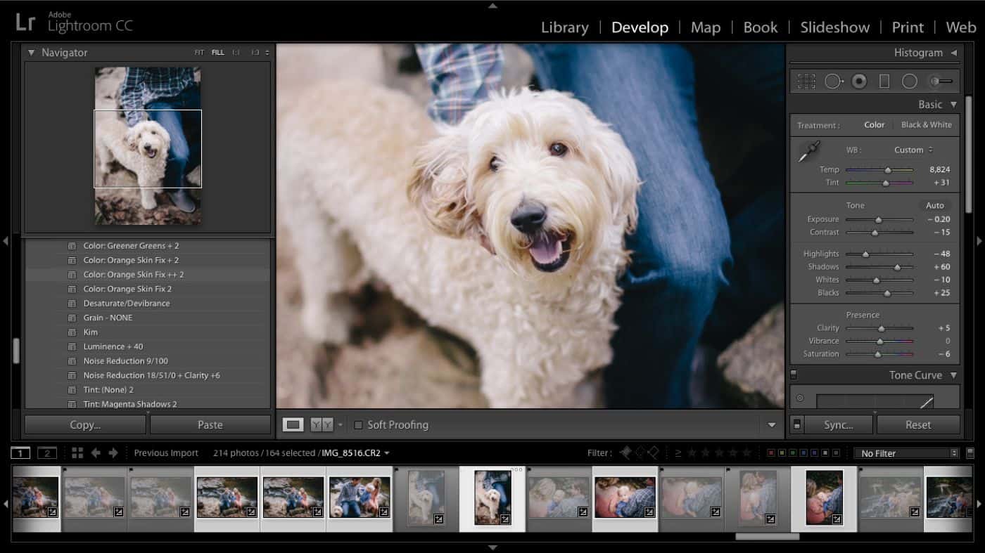 A screenshot of a photographer's open Lightroom Develop module, with photos ranked for faster editing