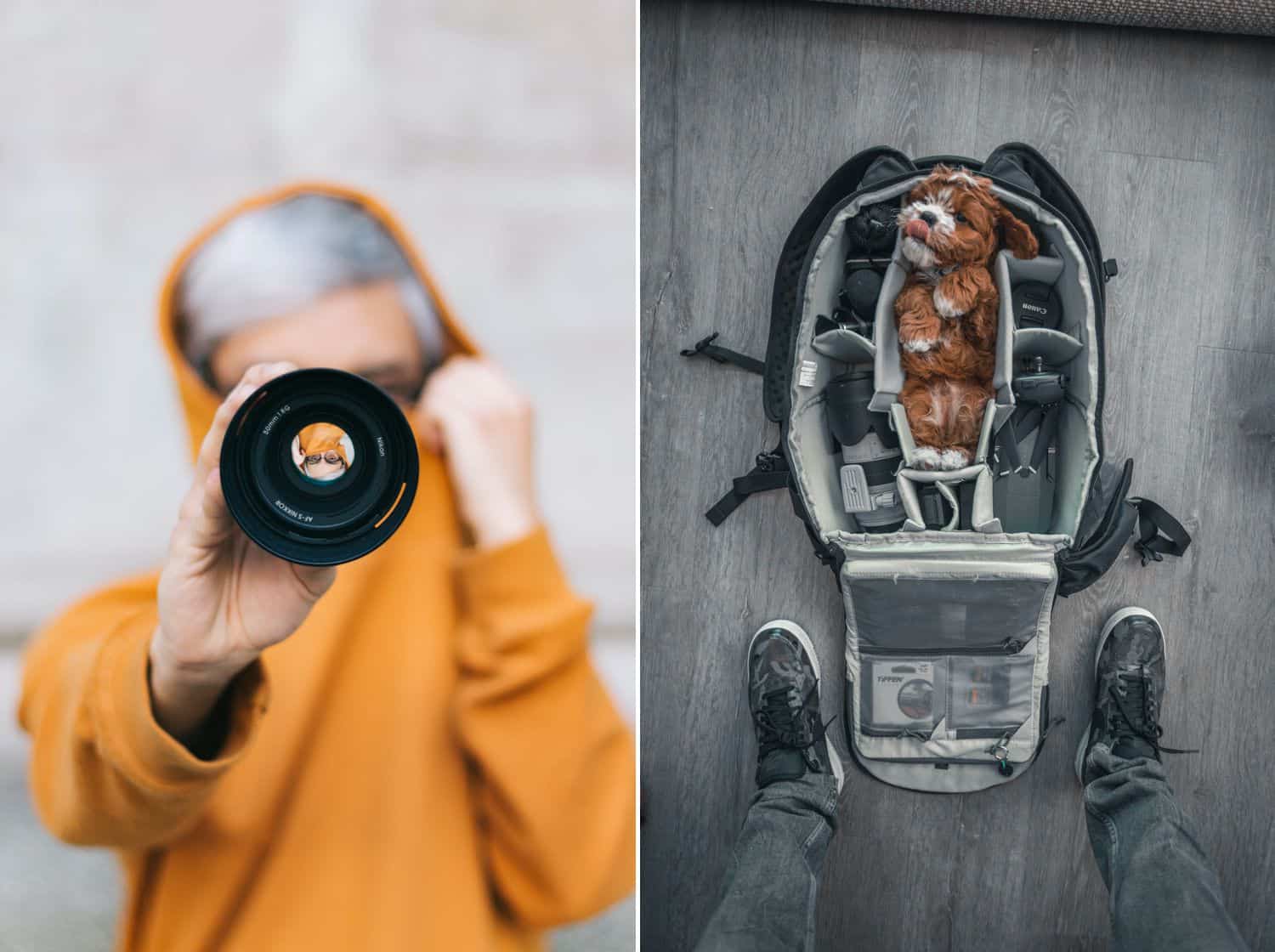 A person in an orange hoodie holds a lens in front of their face. A puppy lies in a section of a camera bag.