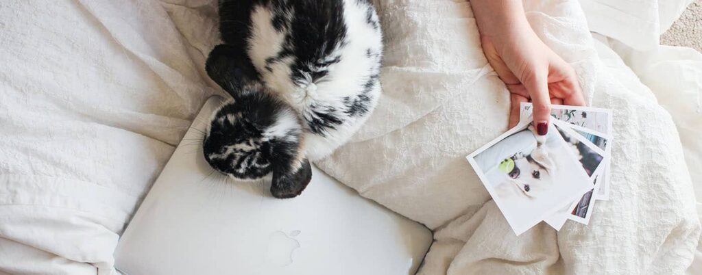 nathan boadle shootproof header