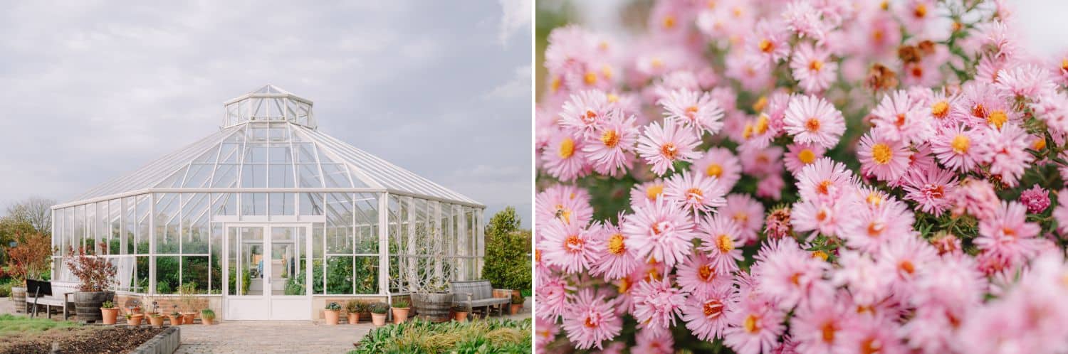 a greenhouse is pictured beside an image of wildflowers