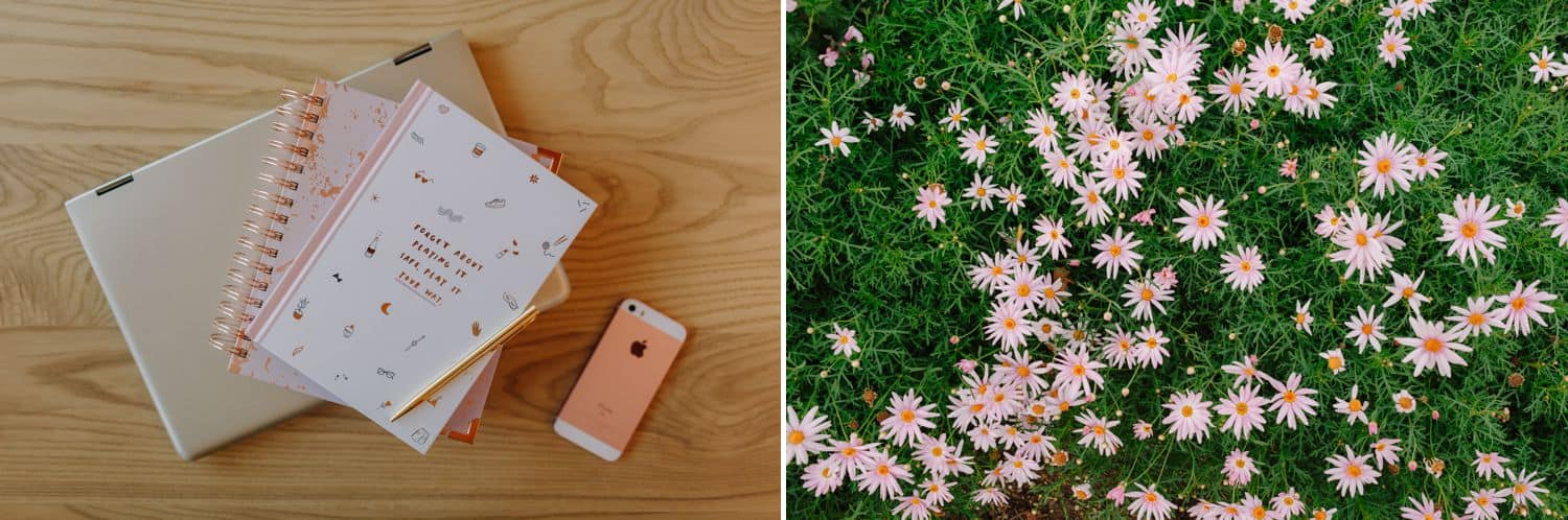 a writer's workspace is pictures beside a field of flowers