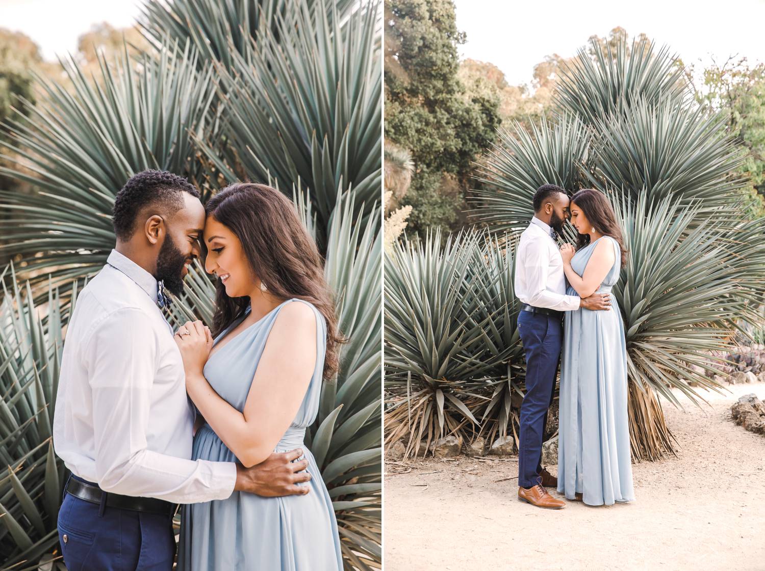 A man and woman stand forehead-to-forehead in front of a huge aloe plant