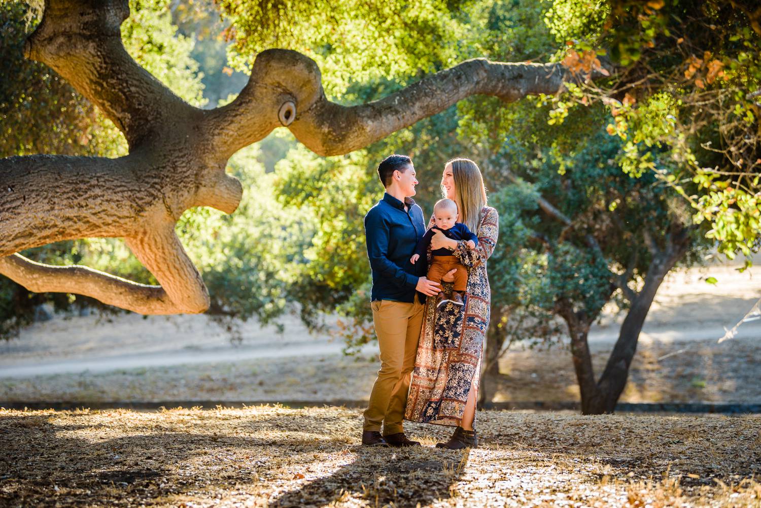 family portrait under a tree