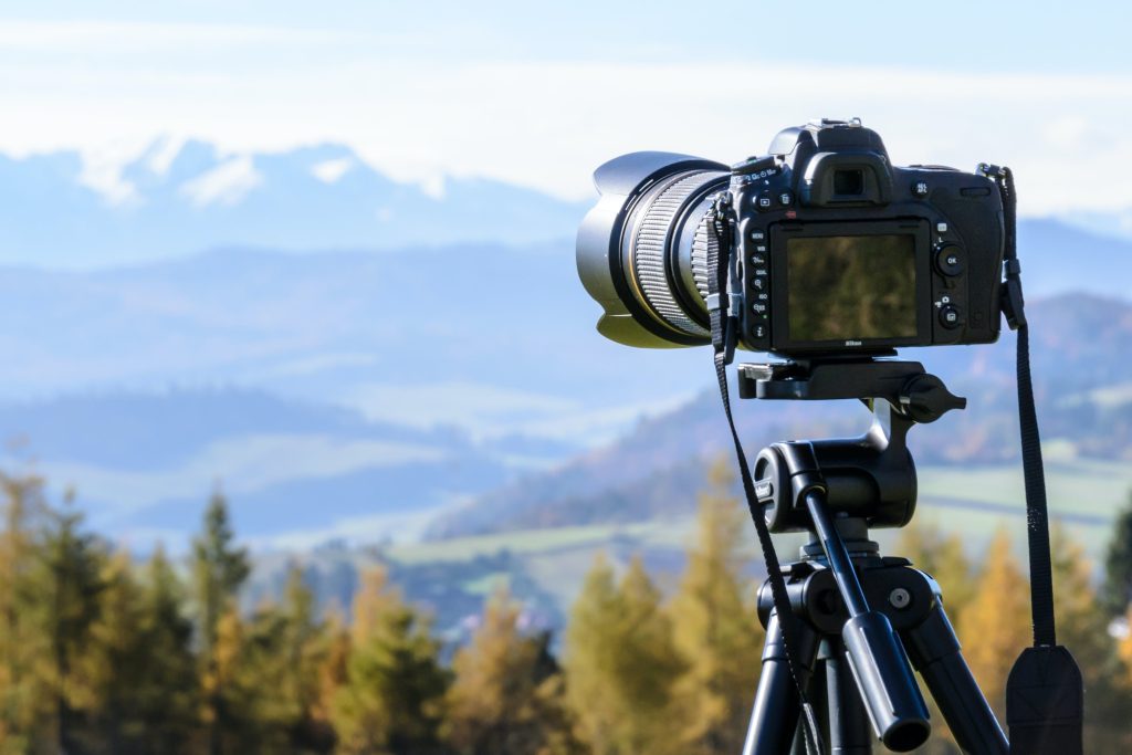 pexels photomix company 212372 1024x683
