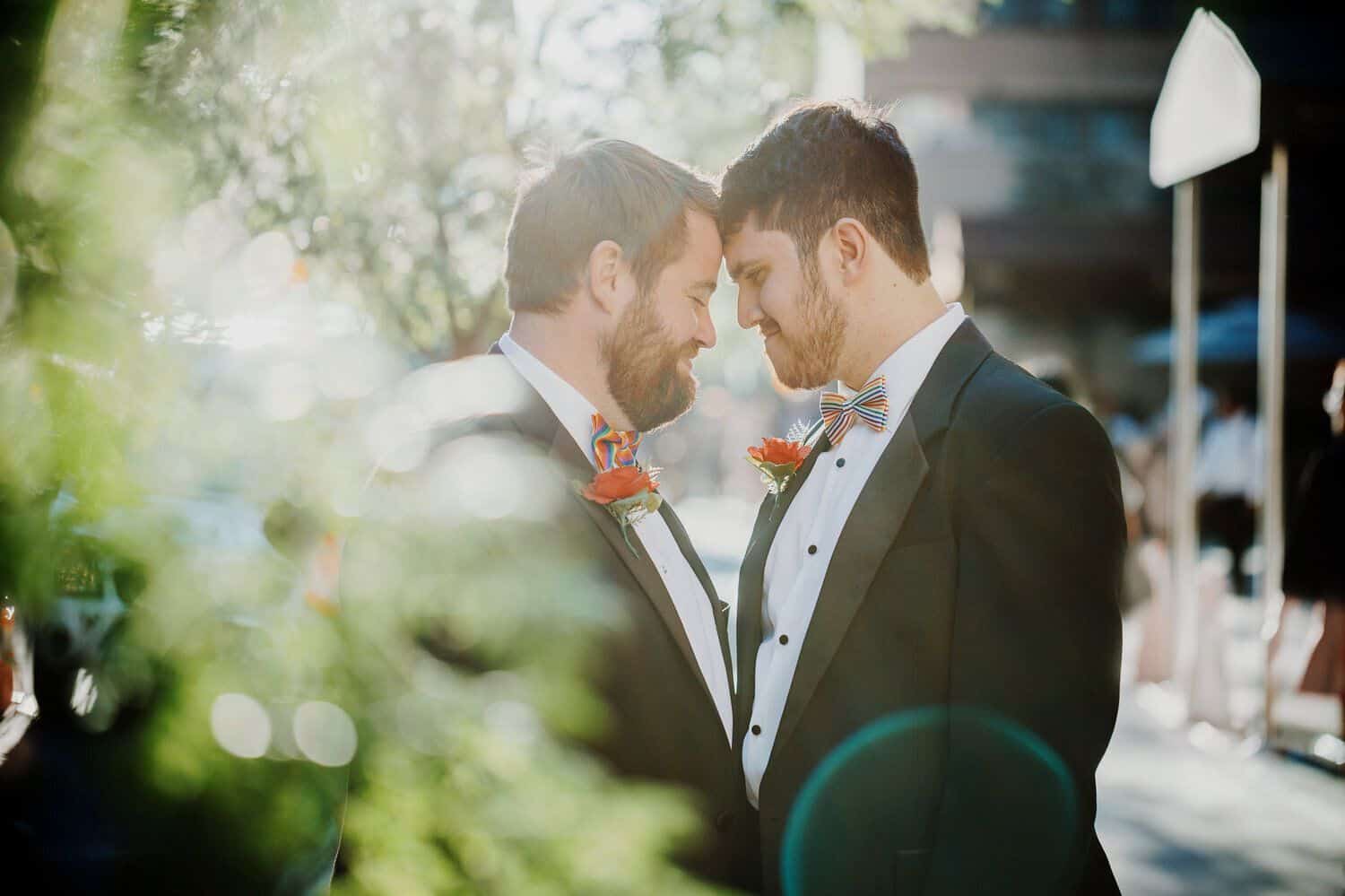 Two grooms stand forehead to forehead with sun flare highlighting the foliage around them.