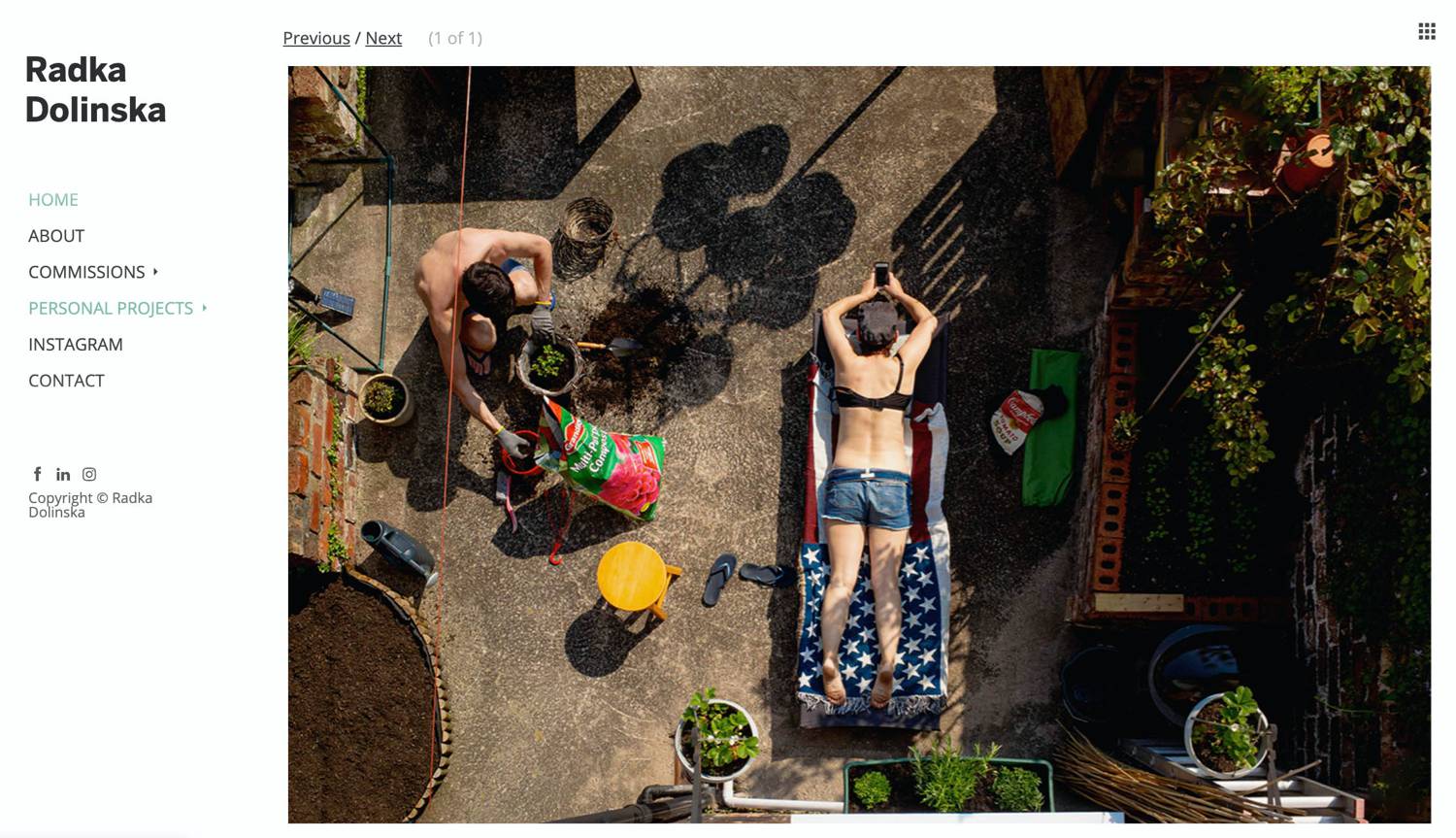 Website: Radka Dolinska's overhead image shows a man potting plants on a patio as his partner reclines on a lounge chair.