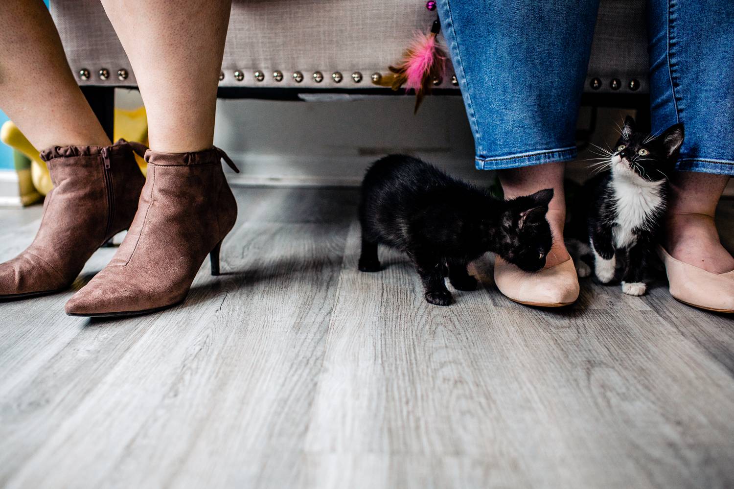 Two kittens roam around the feet of a lesbian couple in a cat cafe