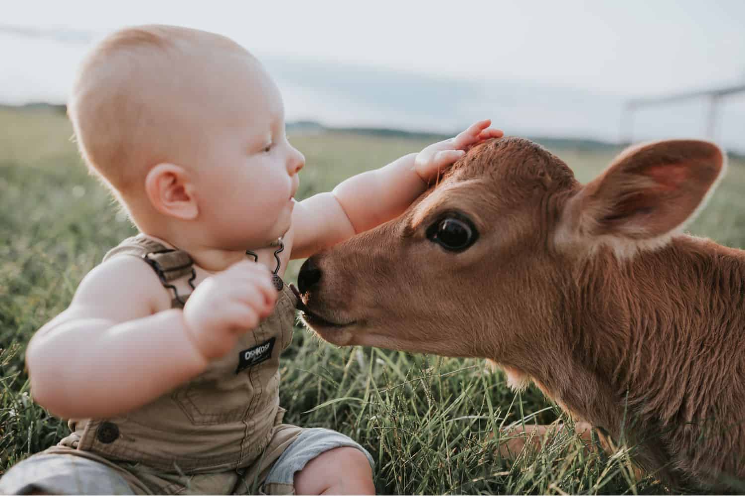 Photographing for free is a great way to learn, but eventually it's time to say NO to free photos. Learn how to say it – and how to truly believe it!