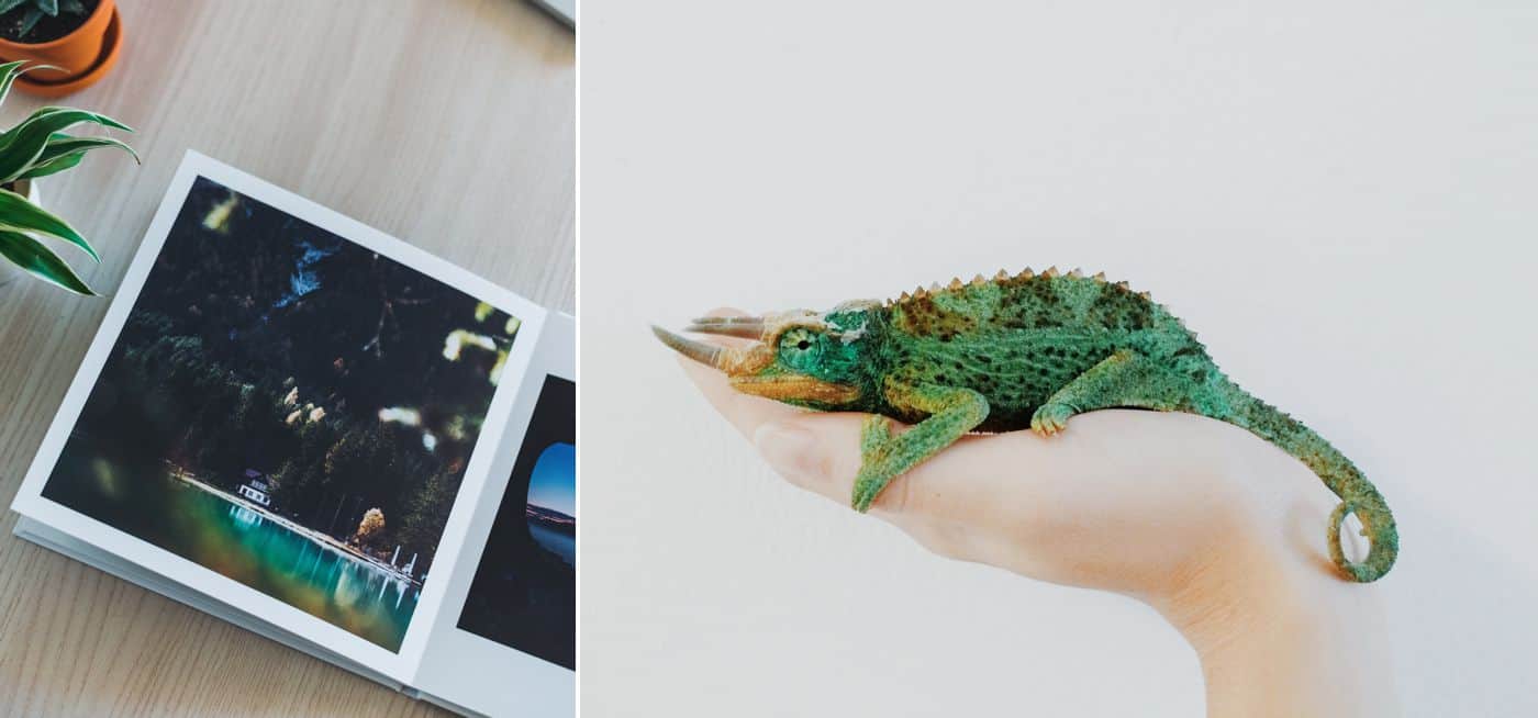 How To Get The Most $$$ Out Of Your ShootProof Galleries