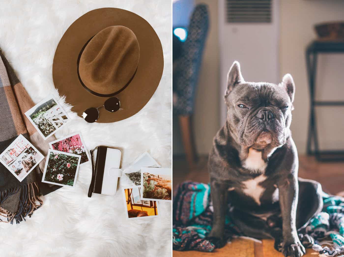 How To Get The Most $$$ Out Of Your ShootProof Galleries