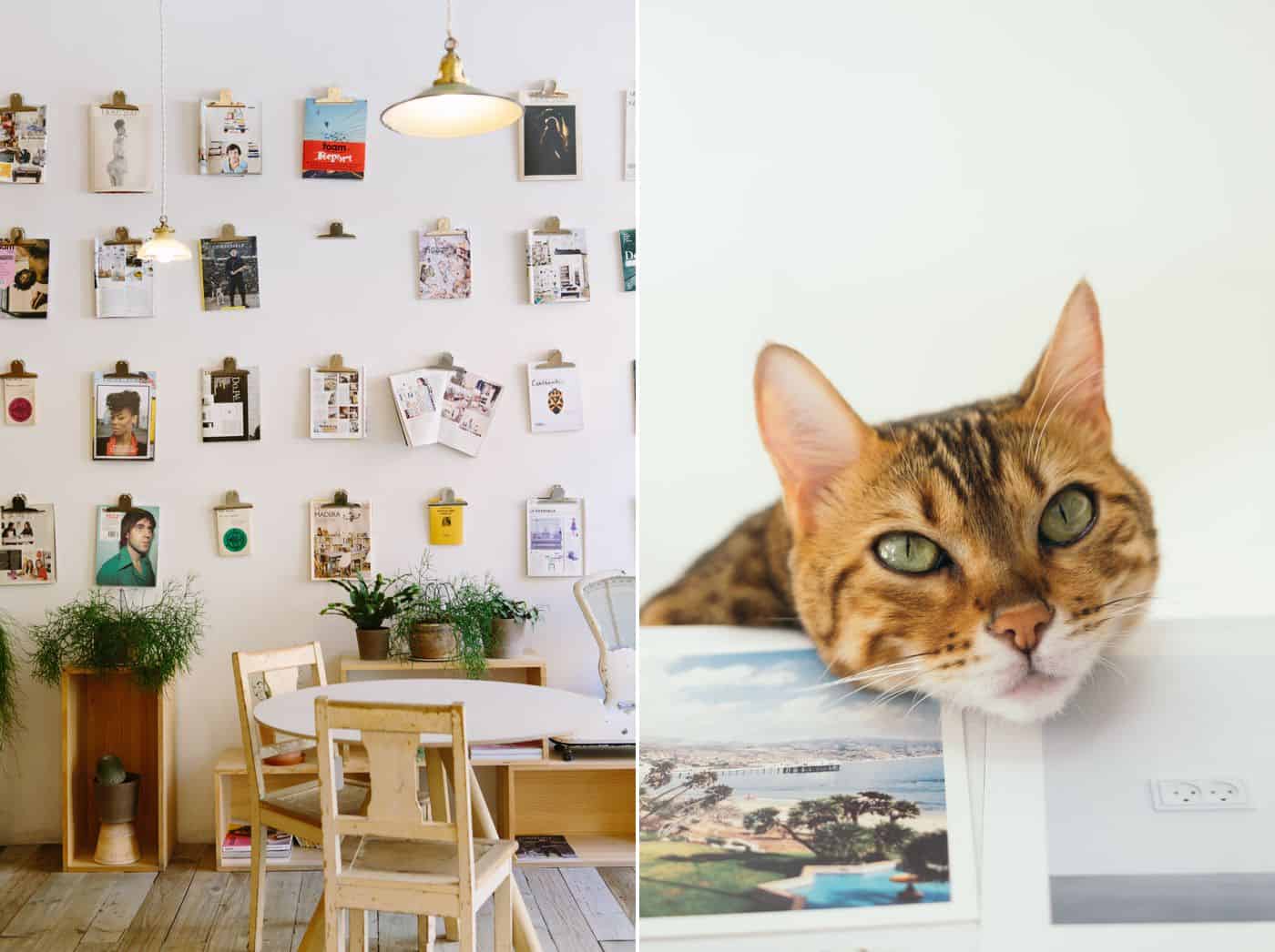 How To Get The Most $$$ Out Of Your ShootProof Galleries