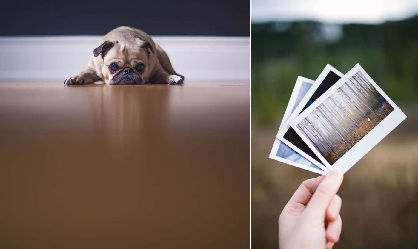 How To Get The Most $$$ Out Of Your ShootProof Galleries