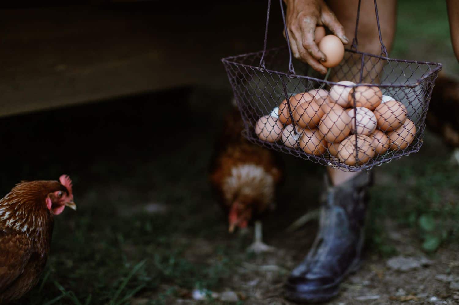 Don't Let Fear Stop You from Making the Best Photos of Your LIfe