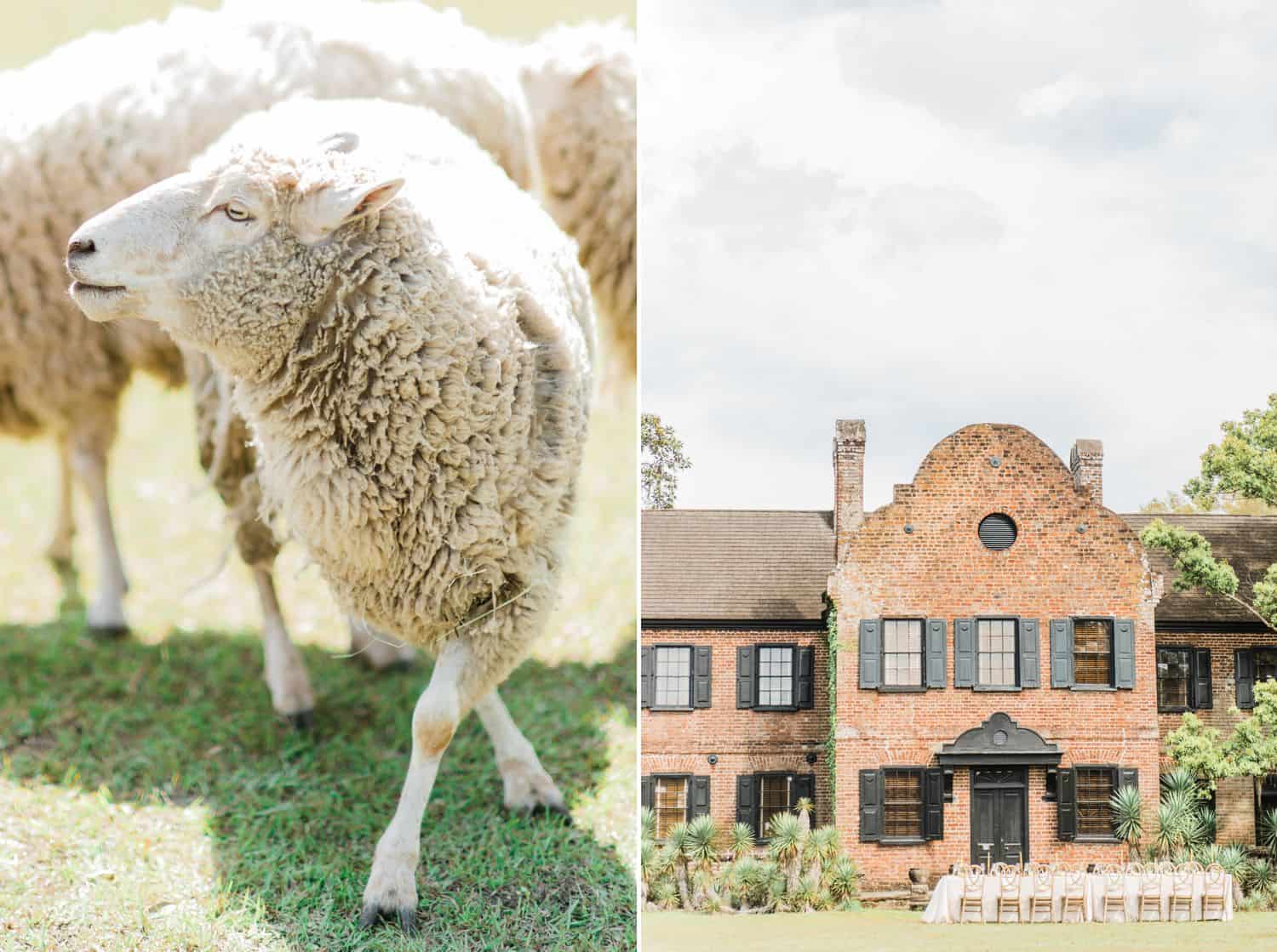 Farm Wedding with Brick Manor House and Sheep: Get Photography Clients with Styled Shoots