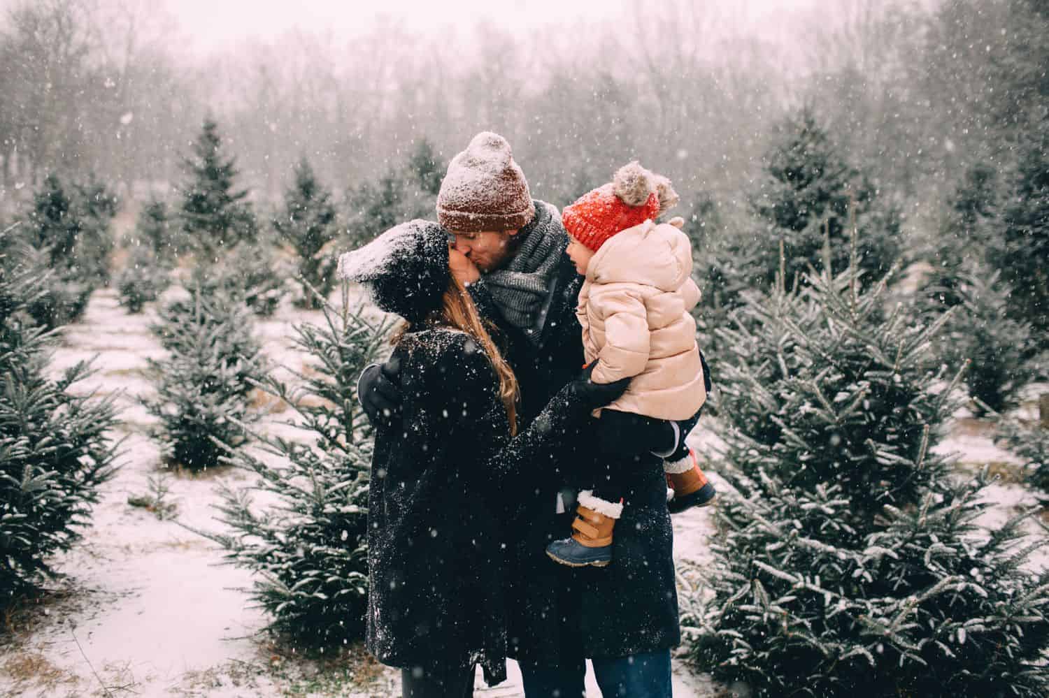 Two parents hold their toddler and kiss in a snowy field overlooking a Christmas tree farm.