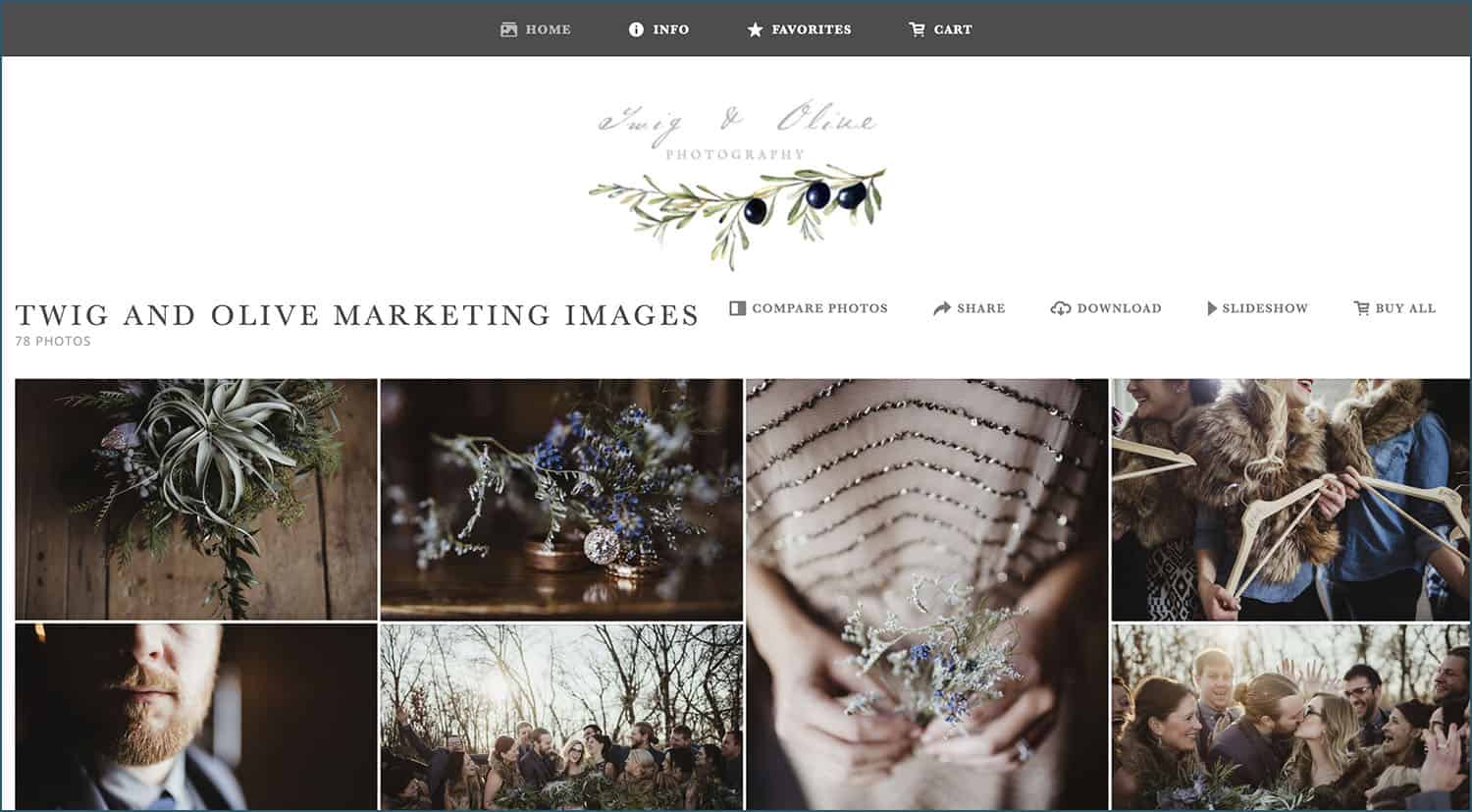 Twig & Olive knows how to sell more photos: with a beautifully customized ShootProof shopping cart!
